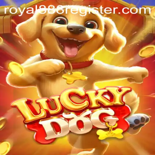 Exploring LuckyDog: A Thrilling Dive into the World of Royal888